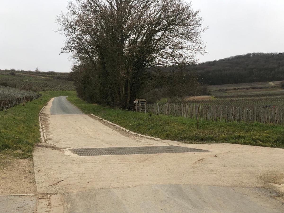 L'Escapade Champenoise Panzió Villers-Marmery Kültér fotó